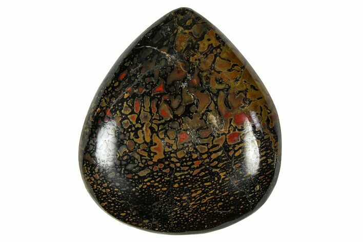 Polished Dinosaur Bone (Gembone) Cabochon - Colorado #370762